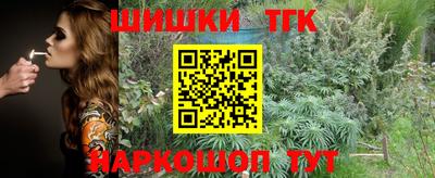 гашик Новокубанск