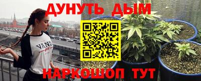 круглые Новодвинск