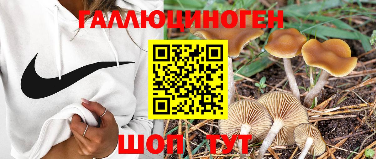 Псилоцибиновые грибы MAGIC MUSHROOMS Тобольск