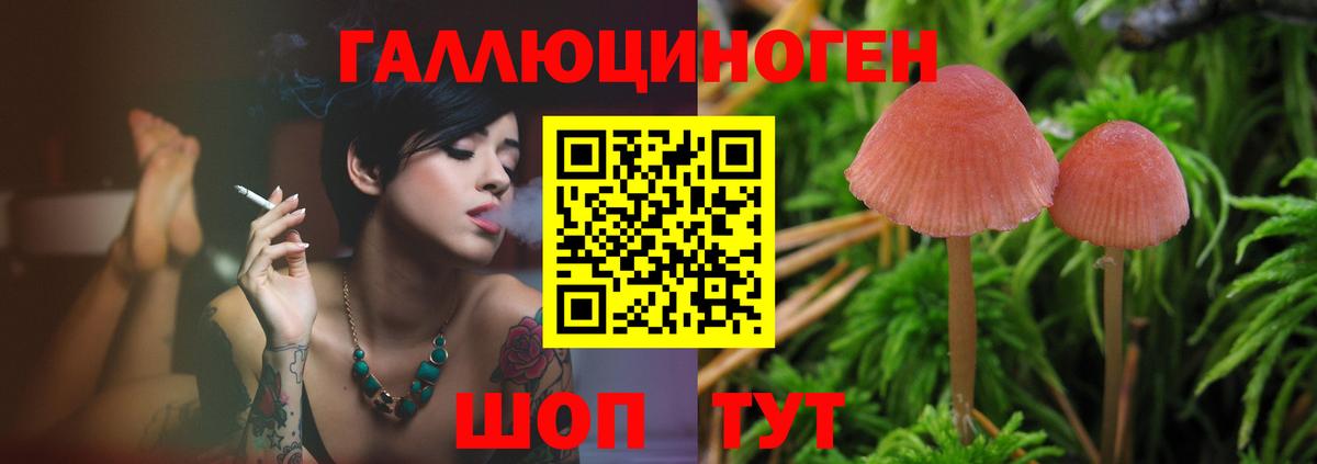 Галлюциногенные грибы мухоморы  Псилоцибиновые грибы Cubensis  Тобольск  Вход с VPN 